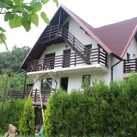 Havva Hotel Calimanesti Exterior photo